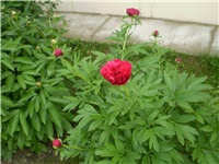 0c5f1492-Picture 5927.jpg